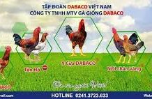 Dabaco đã được chấp thuận niêm yết trên HoSE