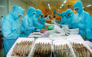 Trung Quốc bất ngờ tăng mua thủy sản Việt Nam