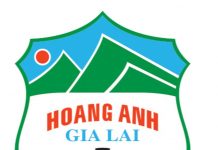 Công ty cổ phần nông nghiệp Hoàng Anh Gia Lai sẽ chuyển nhượng 100% vốn góp tại công ty TNHH Đầu tư và phát triển Cao su Đông Dương cho công ty sản xuất chế biến và phân phối nông nghiệp Thadi…